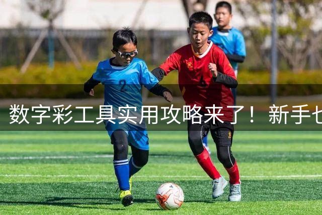 数字彩工具实用攻略来了！新手也能轻松看懂